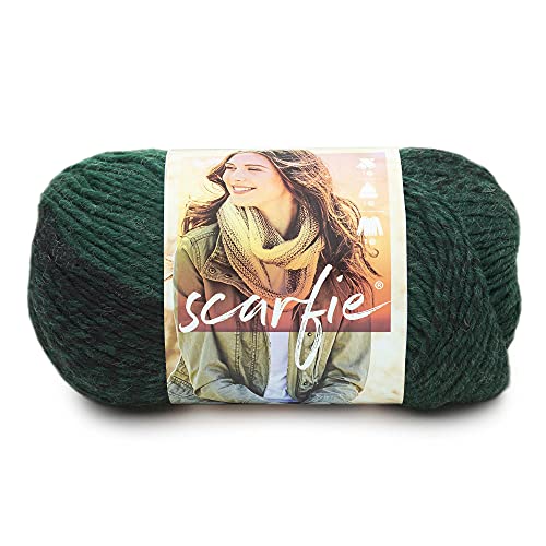Lion Brand Yarn (1 Skein) Scarfie Bulky Yarn, Forest/Black | Bulky Acrylic Wool Blend Knit & Crochet Fiber for Self-Striping Scarves, Colorful Cardigans, Chunky Blankets, Hats - color: Forest/Black, size: 1 Pack