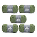 Patons Classic Wool Meadow Yarn - 5 Pack of 3.5oz/100g - Wool - 4 Medium - 210 Yards - Knitting/Crochet - color: Meadow, size: 5 Pack