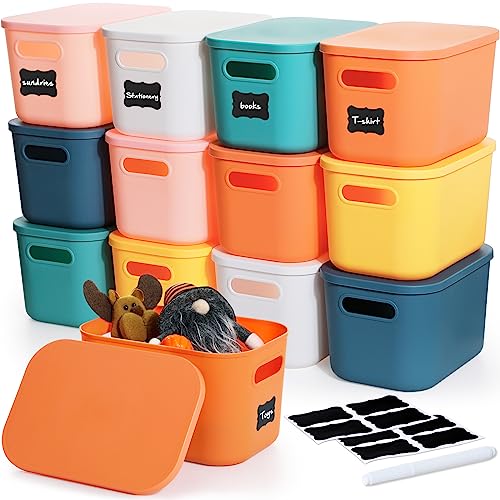 Thyle 12 Pack Classic Colorful Plastic Storage Bins with Lids, Back to School Stackable Storage Container with Handle Label for Organizing Toy Craft for Classroom Shelf Bedroom Office 10 x 7 x 6 Inch - color: Multicolored