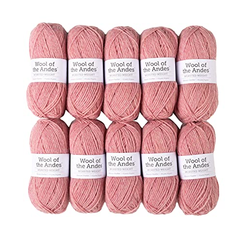 Knit Picks Wool of the Andes Pink 100% Wool Yarn Pack for Knitting | 10 skeins (500g total) of soft worsted weight crocheting yarn in Blossom Heather color, good for felting. - color: Blossom Heather