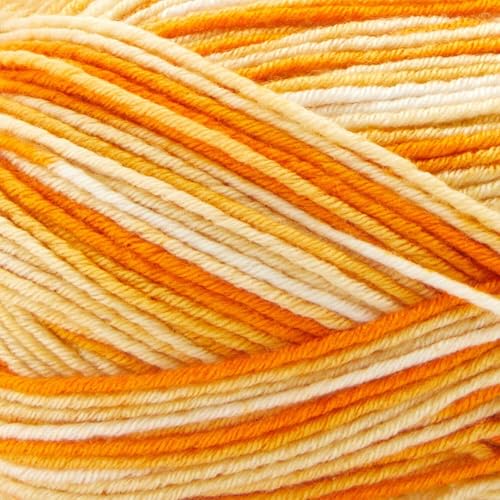 Premier Yarns Fruits Yarn, Acrylic Sock Weight Yarn for Crocheting and Knitting, 235 yds, Blueberry - color: Blueberry