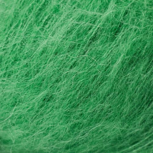 Soft Kid-Silk – 2 Skeins of Fluffy Lightweight Kid Mohair & Silk Yarn for Knitting & Crochet, 1.75 oz (50g), 460 yds (420m) Total - color: Green (28), size: 2 Units