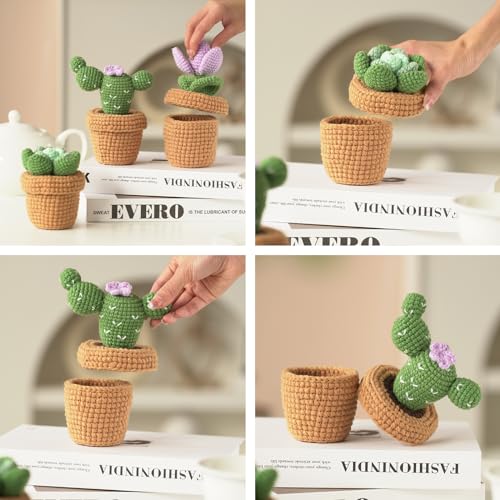 Dasonwin Crochet Kit for Beginners,Crochet Cactus with Step-by-Step Tutorials,Beginner Crochet Kits for Adults,Gift for Girls and Women.