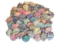 10 Pack of Assorted Light Colors/Pastel Novelty Yarn