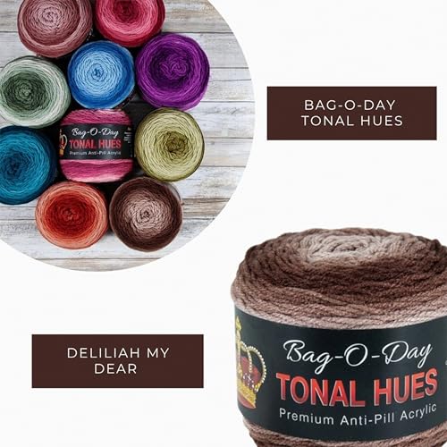 Mary Maxim Bag-O-Day Tonal Hues Ombre Yarn for Crocheting and Knitting, Medium Worsted Weight Anti-Pilling Acrylic Yarn Cake - 280 Yards, 5.3 OZ, Delilah My Dear - color: Delilah My Dear