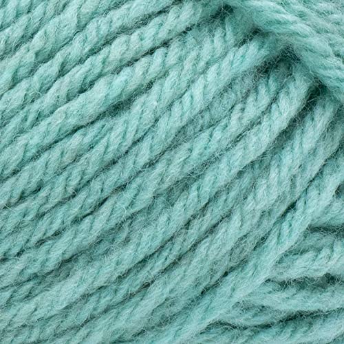 Lion Brand Yarn Hue & Me 617-172 Sea Glass | 3 Skeins, Same Dye Lot, Project Bag, CYC #5 Bulky-Chunky, 80% Acrylic-20% Wool, Ideal for Crochet, Knitting Chunky Blankets - color: 617-172-Sea Glass