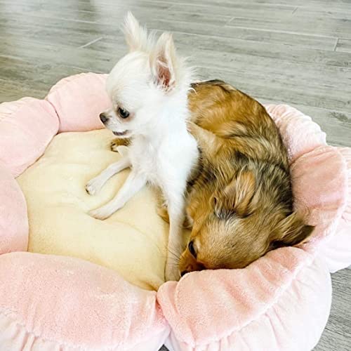TONBO Soft Plush Small Cute and Cozy Pastel Pink Flower Dog Cat Bed, Washer and Dryer Friendly, (Pastel Pink) - color: Pastel Pink Flower