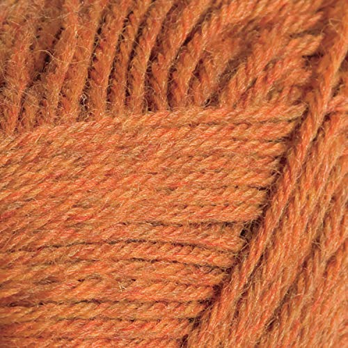 Knit Picks Wool of the Andes Orange 100% Wool Yarn Pack for Knitting | 10 skeins (500g total) of soft worsted weight crocheting yarn in Persimmon Heather color, good for felting. - color: Persimmon Heather