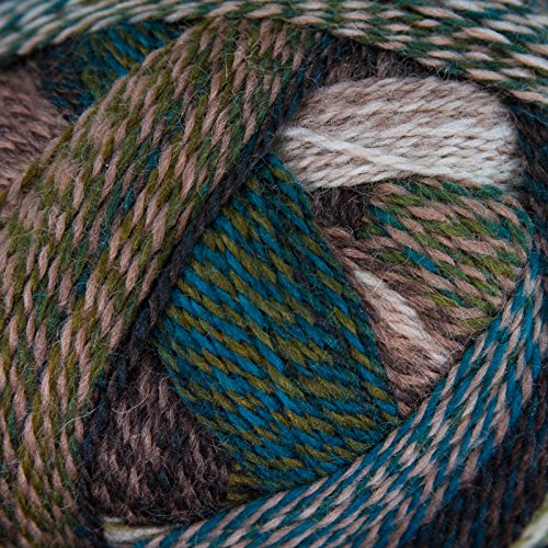 Schoppel Crazy Zauberball Yarn: Jacke wie Hose, 2250, 924483