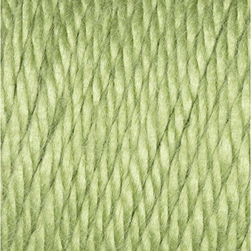 Caron Simply Soft Collection Yarn, 6oz, Gauge 4 Medium, 100% Acrylic- Pistachio - Machine Wash & Dry - color: Pistachio, size: 1 Pack, style: Simply Soft