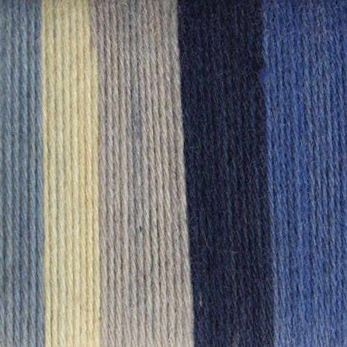 Spinrite Yarns Patons Kroy Socks, 1.75 Ounce, Coastal (Pack of 3) - color: Coastal Stripes, size: 50 g/1.75 oz, 152 meters/166 yards (Pack of 3)