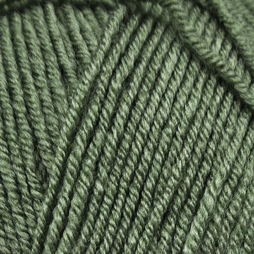 Estako Star-DK Soft Yarn for Crocheting, DK Weight 3, 4-Pack, Grass | 75% acrylic 25% wool, 4 skeins, 400 g, 1224 yds, amigurumi, granny squares, socks, beanies, mittens, plush toys - color: 34067 - Grass, size: Pack of Four