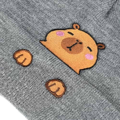 Personality Animal Head Embroidery Knit Beanie Hat for Adult and Big Kids Winter Warm Skull Cuffed Hats - color: Capybara 2-grey