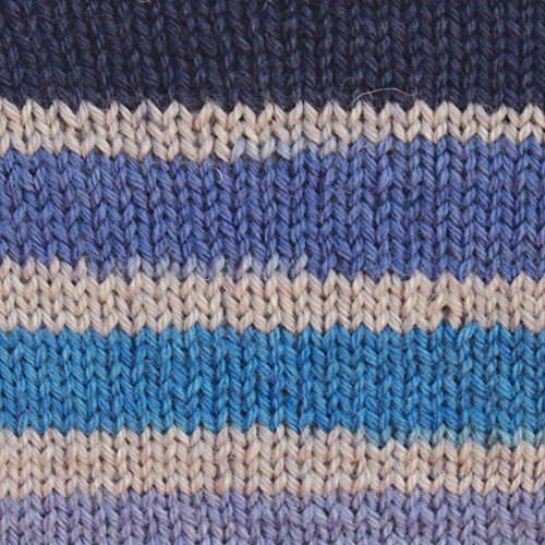 Spinrite Yarns Patons Kroy Socks, 1.75 Ounce, Coastal (Pack of 3) - color: Coastal Stripes, size: 50 g/1.75 oz, 152 meters/166 yards (Pack of 3)