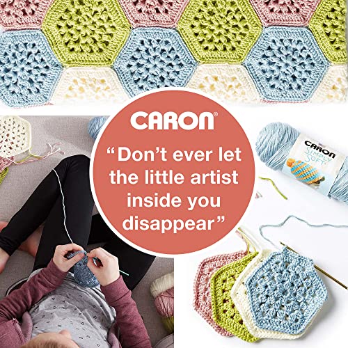Caron One Pound Soft Yarn for Crocheting & Knitting, Sienna, 2-Pack | #4 Worsted Medium, Soft 100% Acrylic Yarn for Crochet, Knitting, Blankets and Crafts, 812yds, 453.6g/16oz per skein - color: Sienna, size: 2 Pack