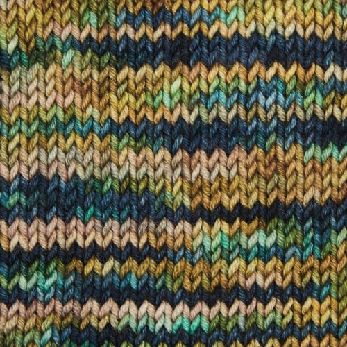 KnitPro Symfonie DK Weight Merino Wool Yarn 240yds, 100g, Riverbank | 100% Extrafine Merino, Hand Dyed, OEKO-TEX Certified, Superwash, Colorfast, #3 Yarn Skein for Knitting & Crochet - color: Riverbank