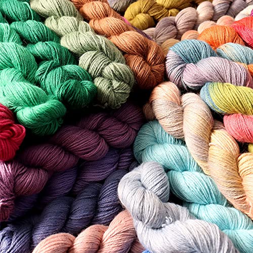 100% Baby Alpaca Yarn Wool 100g Hank DK Weight Hand Dyed Made in Peru - Heavenly Soft and Perfect for Knitting and Crocheting (Tropical Carnival, DK Hand Dyed - 100g Hank) - color: Tropical Carnival, size: DK Hand Dyed - 100g Hank