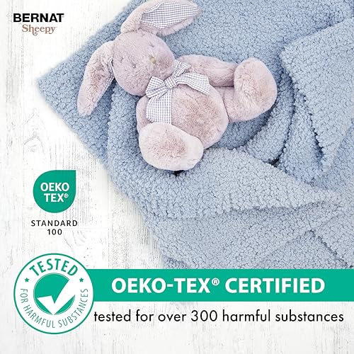 Bernat Sheepy Rosemary Yarn - 2 Pack of 250g/8.8oz - Nylon - 6 Super Bulky - 149 Yards - Knitting/Crochet - color: Rosemary
