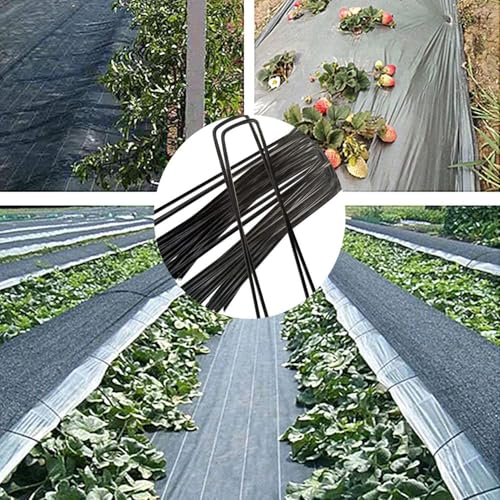 6 inch 25 Pack Black Galvanized Landscape Staples 11 Gauge Garden Stakes Pins Anti-Rust Ground Stakes U-Shaped Tent Stakes are Used for Weed Barrier, Irrigation Tubing, Yard Lawn, Landscape Fabric - color: black 11 Gauge, size: 6 inch