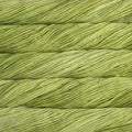 Malabrigo Worsted Hand Dyed Yarn (011 - Apple Green) - color: 011 - Apple Green